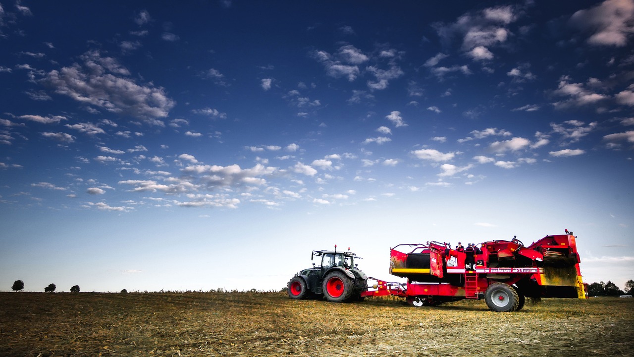 harvest, fall, field-4979504.jpg